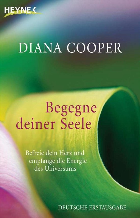 Cover for Diana Cooper · Heyne.70060 Cooper.Begegne deiner Seele (Buch)