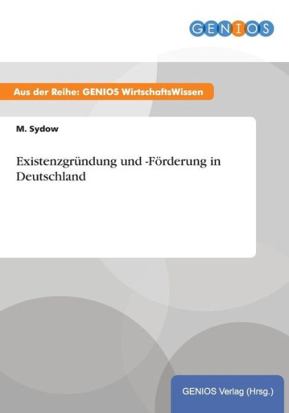 Cover for M Sydow · Existenzgrundung und -Foerderung in Deutschland (Paperback Book) (2015)