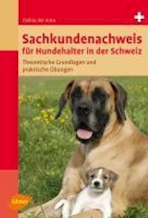 Cover for Celina Del Amo · Sachkundenachweis F.hundeh. (Book)