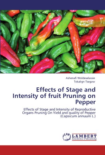 Effects of Stage and Intensity of Fruit Pruning on Pepper: Effects of Stage and Intensity of Reproductive Organs Pruning on Yield and Quality of Pepper (Capsicum Annuum L.) - Tekalign Tsegaw - Books - LAP LAMBERT Academic Publishing - 9783847370604 - January 18, 2012
