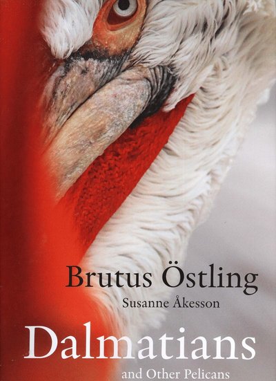 Cover for Susanne Åkesson · Dalmatians and other pelicans (Bound Book) (2010)