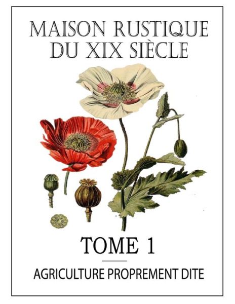 Cover for Charles Bailly · Maison Rustique Du XIX Siecle - Tome 1 (Paperback Book) (2020)