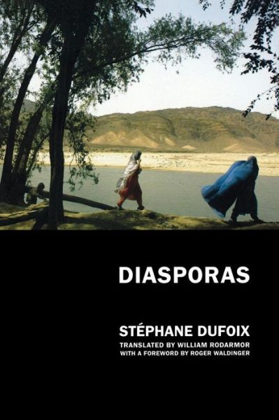 Cover for Stephane Dufoix · Diasporas (Paperback Book) (2008)