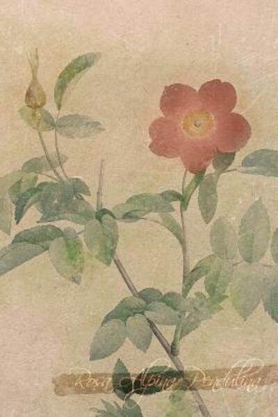 Cover for Coming Up Roses · Rosa Alpina Pendulina (Pocketbok) (2019)