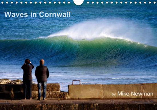 Cover for Newman · Waves in Cornwall (Wall Calendar (Book)