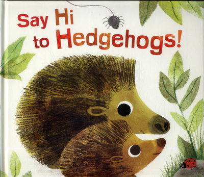 Cover for Jane McGuinness · Say Hi to Hedgehogs! (Hardcover Book) (2018)