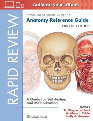 Cover for Acc · Rapid Review: Anatomy Reference Guide: A Guide for Self-Testing and Memorization (Spiralbuch) (2018)