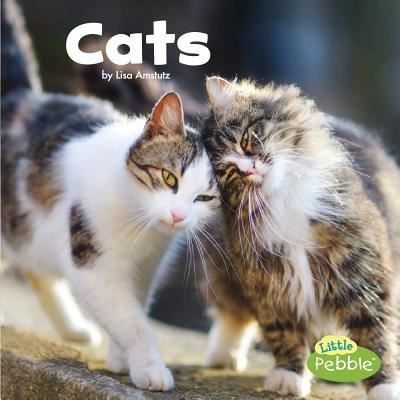 Cats - Lisa J. Amstutz - Książki - Capstone - 9781543501605 - 2018