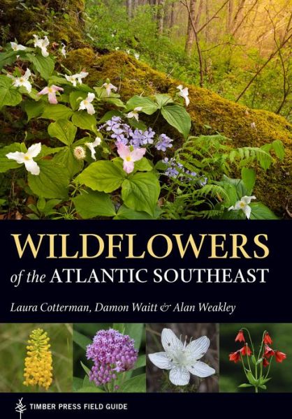 Cover for Laura Cotterman · Wildflowers of the Atlantic Southeast (Taschenbuch) (2019)