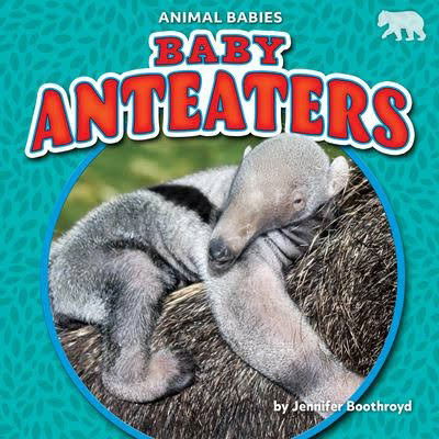 Cover for Jennifer Boothroyd · Baby Anteaters (Paperback Book) (2022)