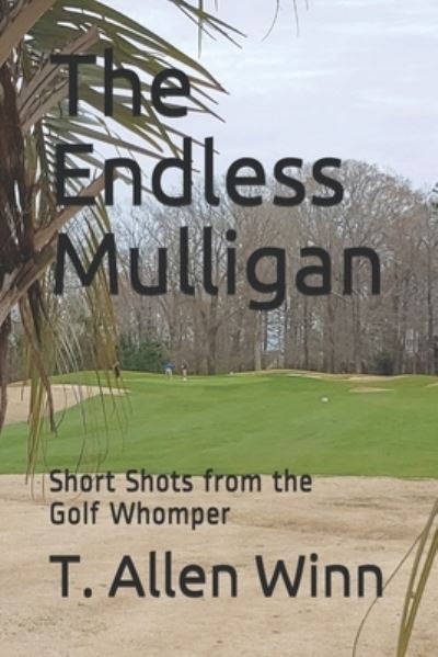 Cover for T Allen Winn · The Endless Mulligan (Paperback Book) (2019)