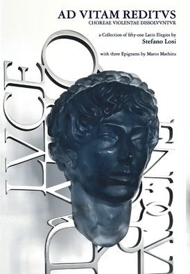 Cover for Stefano Losi · Ad Vitam Reditvs (Hardcover Book) (2020)