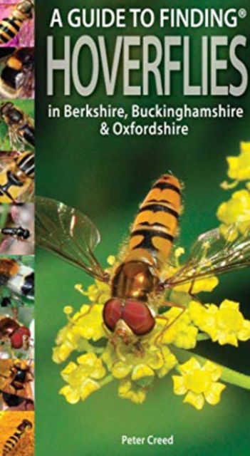 Cover for Peter Creed · A Guide to Finding Hoverflies in Berkshire, Buckinghamshire and Oxfordshire (Paperback Book) (2014)