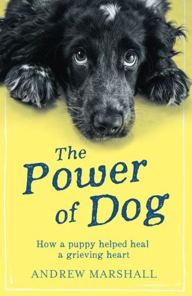 The The Power of Dog: How a Puppy Helped heal a Grieving Heart - Andrew Marshall - Livros - RedDoor Press - 9781910453605 - 12 de julho de 2018