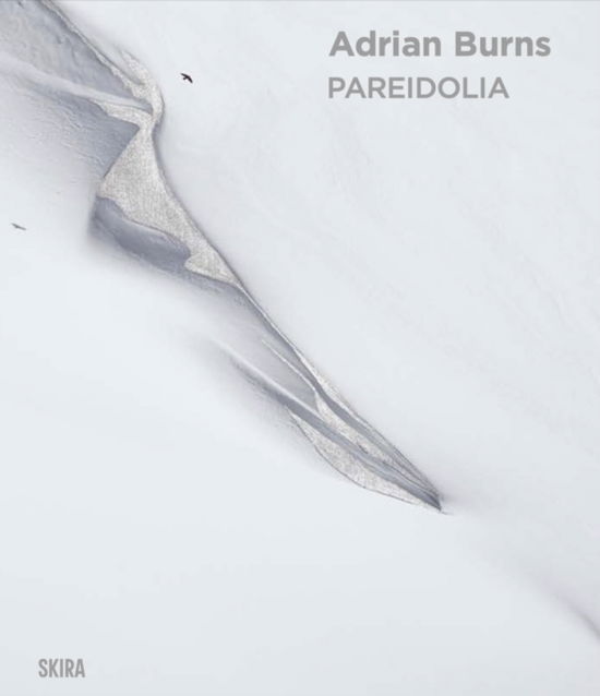 Cover for Pareidolia: Adrian Burns (Hardcover Book) [Bilingual edition] (2025)