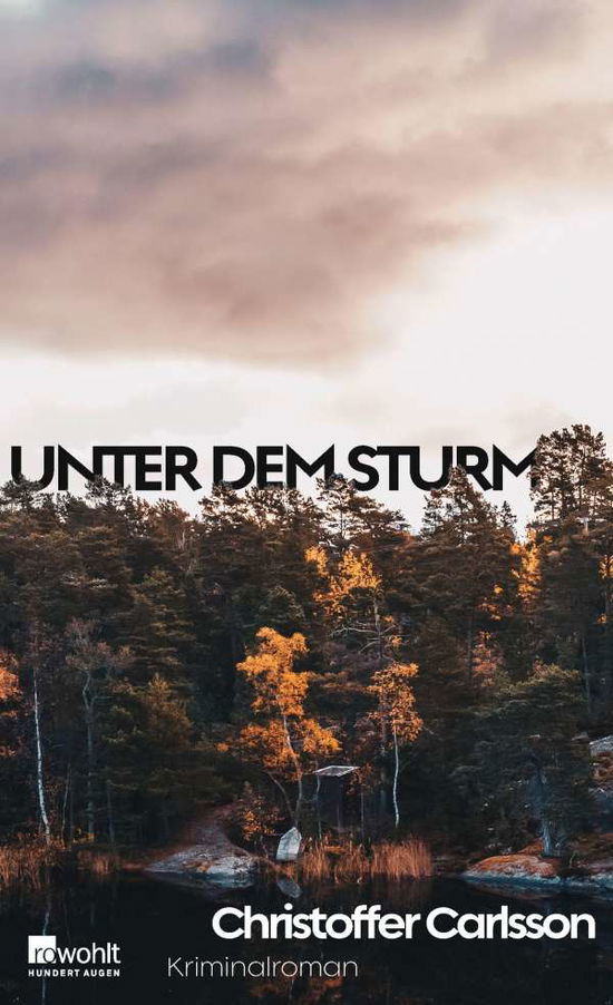 Cover for Carlsson · Unter dem Sturm (Book)