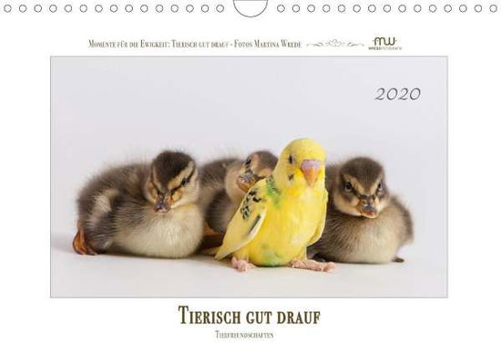 Tierisch gut drauf - Tierfreundsc - Wrede - Books -  - 9783670977605 - 