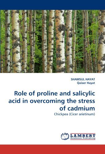 Cover for Qaiser Hayat · Role of Proline and Salicylic Acid in Overcoming the Stress of Cadmium: Chickpea (Cicer Arietinum) (Pocketbok) (2011)