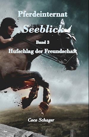 Cover for Coco Schager · Pferdeinternat Seeblick Band 3 (Bok) (2024)