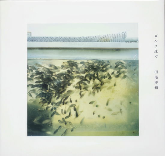 Saori Tao · Swimming on the Building (Hardcover Book) (2013)