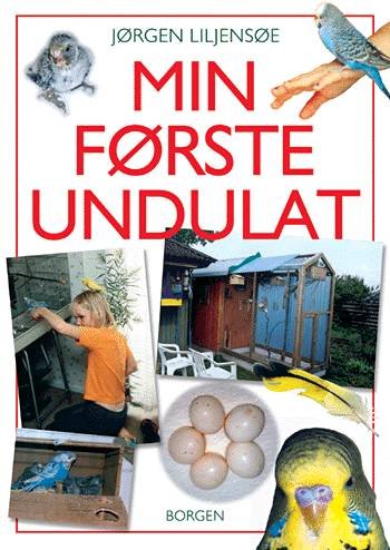 Cover for Jørgen Liljensøe · Min første undulat (Bog) [1. udgave] (2001)