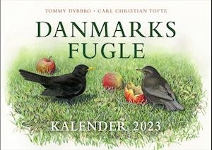 Danmarks fugle - kalender 2023 - Carl Christian Tofte; Tommy Dybbro - Kirjat - Politikens Forlag - 9788740077605 - tiistai 4. lokakuuta 2022
