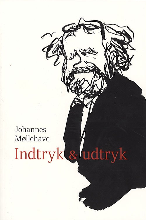 Cover for Johannes Møllehave · Indtryk &amp; udtryk (Sewn Spine Book) [1º edição] (2007)