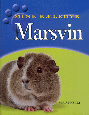 Mine kæledyr.: Marsvin - Clare Hibbert - Kirjat - Maaholm - 9788779592605 - maanantai 3. tammikuuta 2005