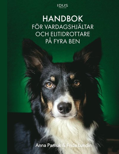 Cover for Anna Pamuk · Praktisk hundguide (Bound Book) (2023)