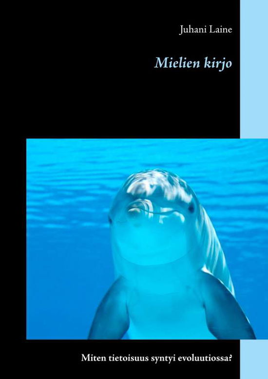 Cover for Laine · Mielien kirjo (Book)