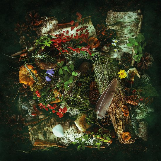 Cover for Agusa · En Annan Värld (LP) (2021)