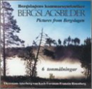 Cover for Bergslagen Chamb Orch / Mossop / Sjoblom / Kapten · Pictures from Bergslagen (CD) (2002)