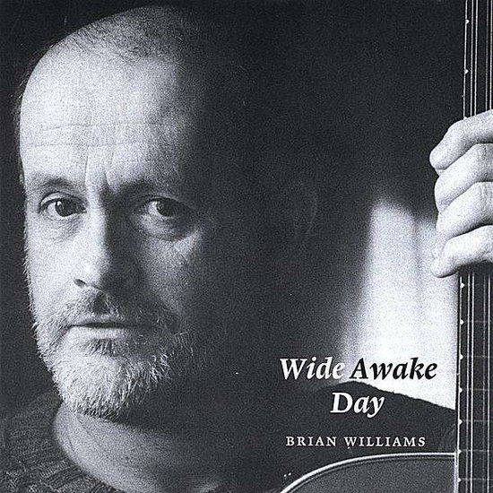 Cover for Brian Williams · Wide Awake Day (CD) (2008)