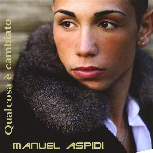 Cover for Aspidi Manuel · Qualcosa E' Cambiato (CD) (2008)