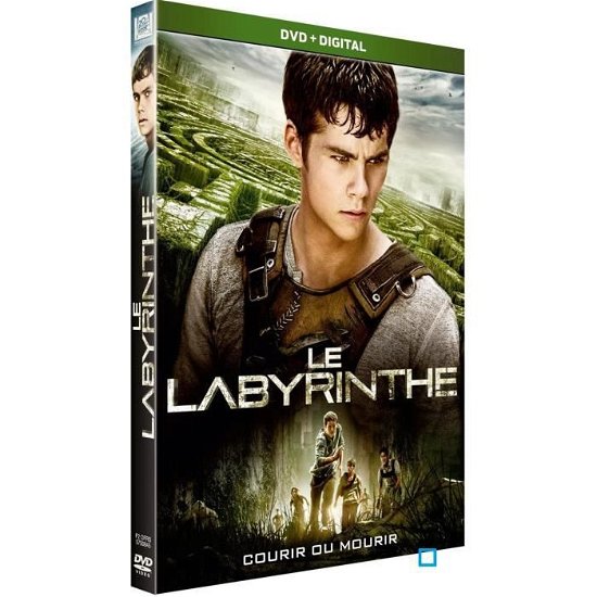 Cover for Le Labyrinthe - Gotham Group (DVD)
