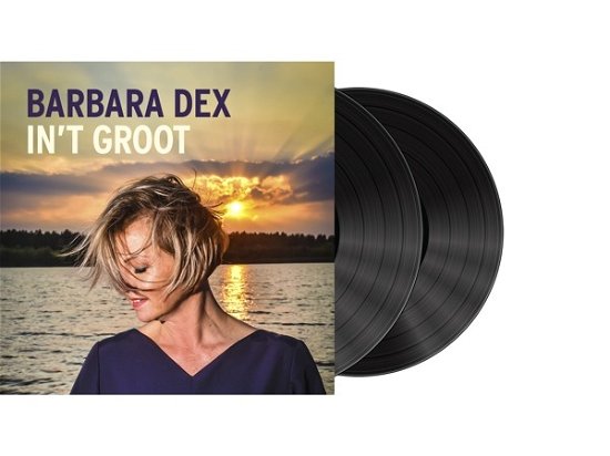 Cover for Barbara Dex · In 't Groot (LP) (2023)