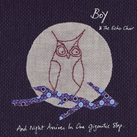 Boy & The Echo Choir · And Night Arrives In One Gigantic Step (CD) (2010)