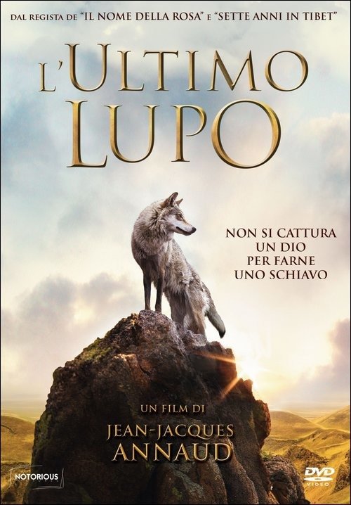 Cover for Shaofeng Feng Shawn Dou · Ultimo Lupo (L') (DVD) (2015)
