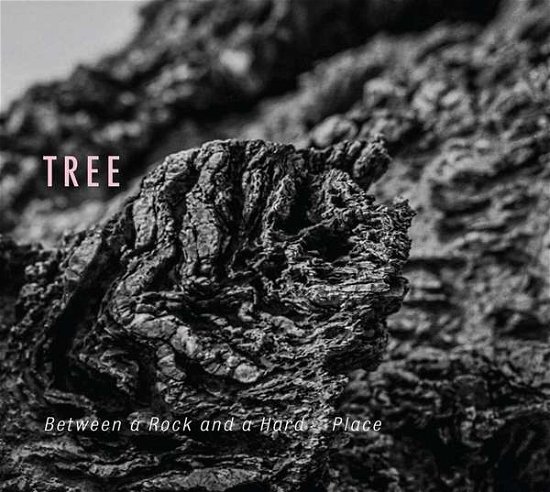 Cover for Tree · Between a Rock &amp; a Hard P (CD) (2019)