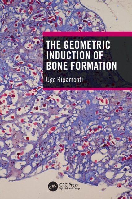 Cover for Ugo Ripamonti · The Geometric Induction of Bone Formation (Taschenbuch) (2022)