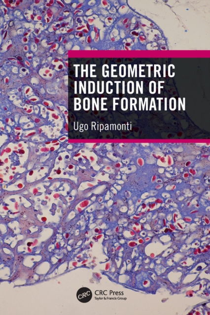 Cover for Ripamonti, Ugo (University of the Witwatersrand, Bone Research Lab, Johannesburg, South Africa) · The Geometric Induction of Bone Formation (Paperback Book) (2022)