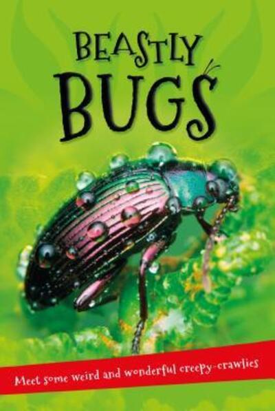 Cover for Editors of Kingfisher · It's All About . . . Beastly Bugs: Everything you want to know about minibeasts in one amazing book - It's all about... (Paperback Book) (2016)