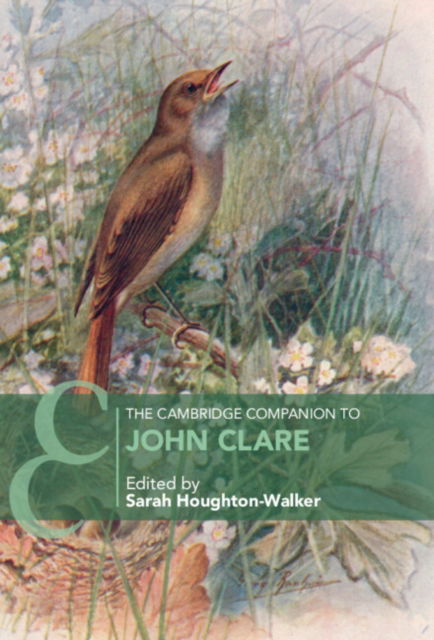 The Cambridge Companion to John Clare - Cambridge Companions to Literature (Paperback Book) (2024)