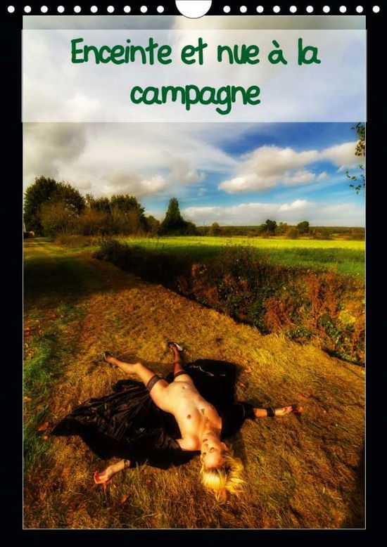 Cover for Baron · Enceinte et nue à la campagne (Ca (Book)