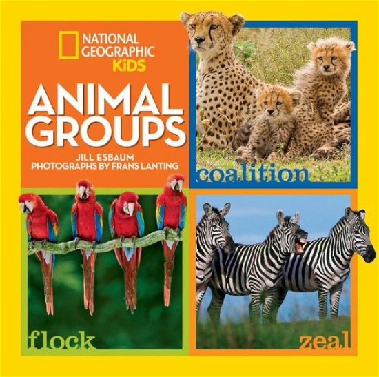 Cover for Jill Esbaum · Animal Groups - Animals (Hardcover Book) (2015)