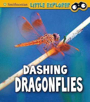 Cover for Megan Cooley Peterson · Dashing Dragonflies - Insect Explorer (Inbunden Bok) (2019)