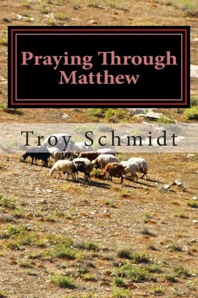 Cover for Troy Schmidt · Praying Through Matthew (Pocketbok) (2014)