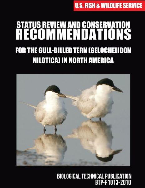 Cover for U S Fish &amp; Wildlife Service · Status Review and Conservation Recommendations for the Gull-billed Tern (Gelochelidon Nilotica) in North America (Pocketbok) (2015)