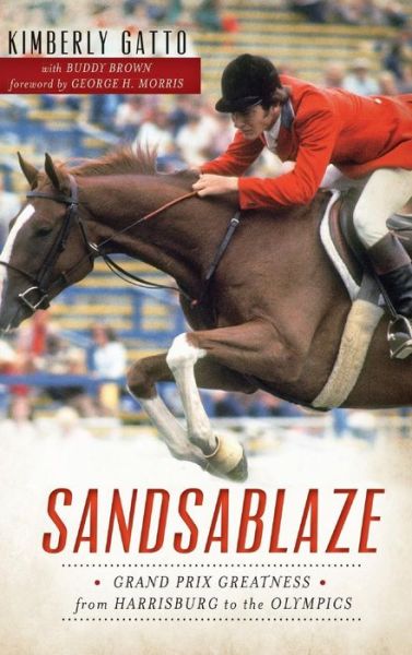 Cover for Kimberly Gatto · Sandsablaze (Hardcover Book) (2014)