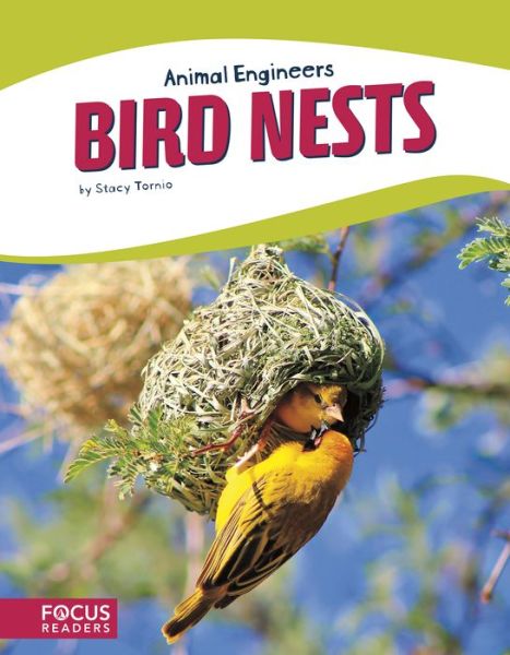 Cover for Stacy Tornio · Animal Engineers: Birds Nests (Paperback Book) (2018)